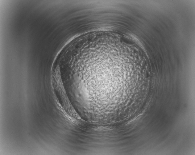 X0000070210835200606091622