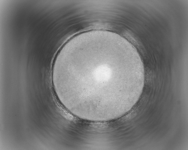 X0000070210836200606091622