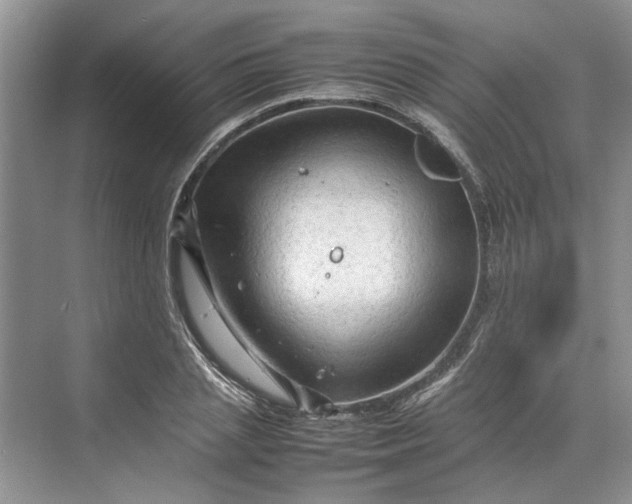 X0000070210837200606091622