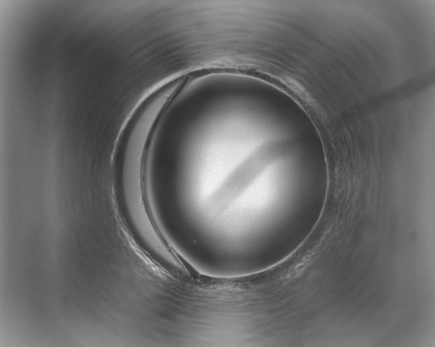 X0000070210838200606091622