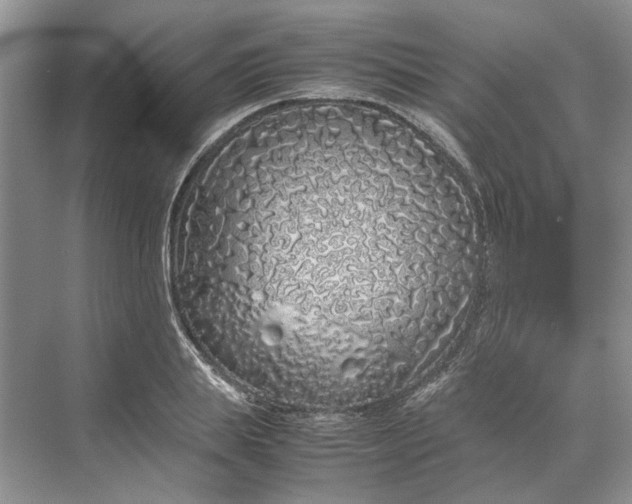 X0000070210839200606091622