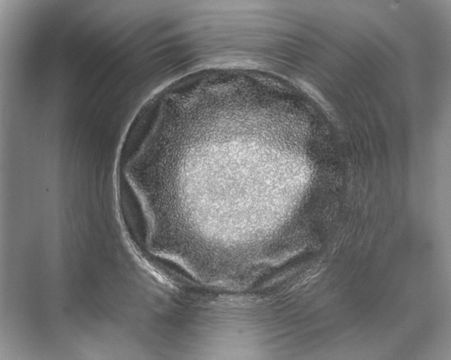 X0000070210840200606091622