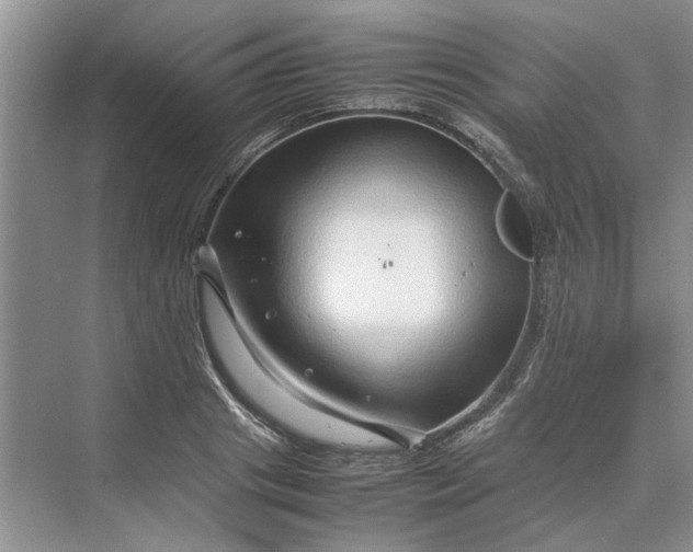 X0000070210841200606091622