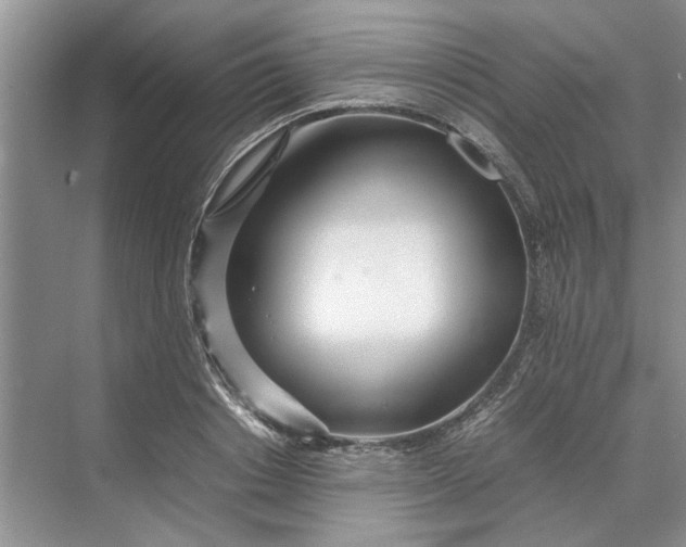 X0000070210842200606091622