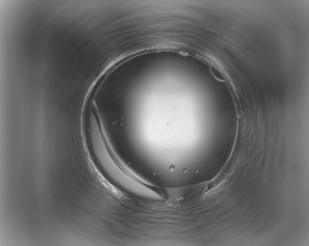 X0000070210843200606091622