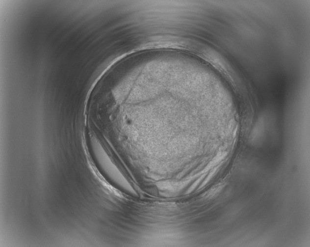 X0000070210844200606091622