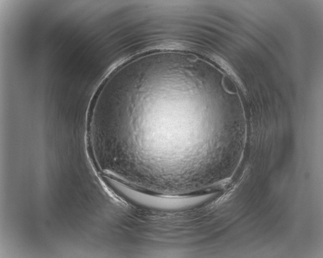 X0000070210845200606091622