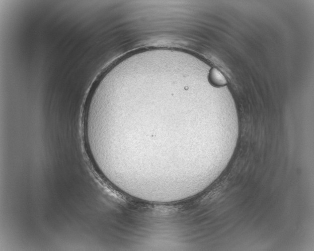 X0000070210848200606091622