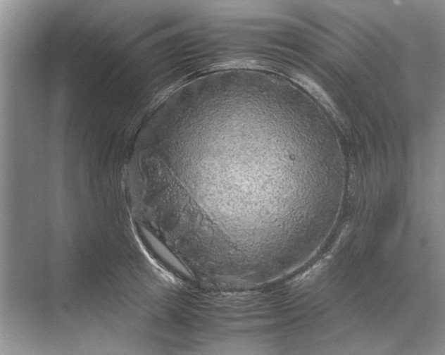 X0000070210849200606091622