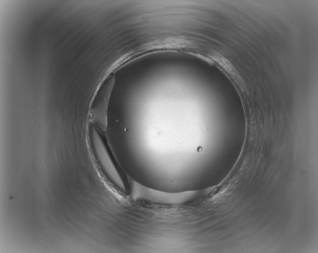 X0000070210850200606091622