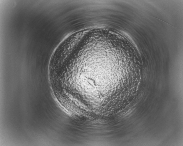 X0000070210851200606091622