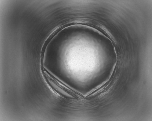 X0000070210853200606091622