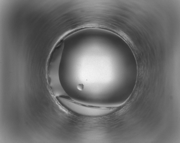 X0000070210854200606091622