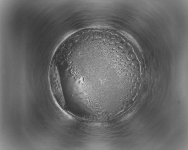 X0000070210855200606091622