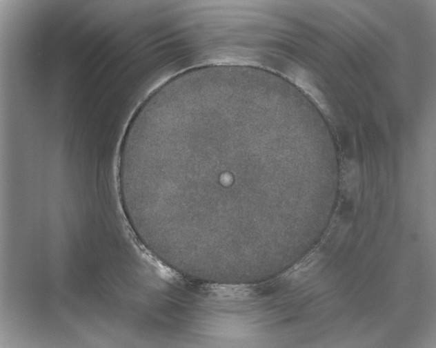 X0000070210856200606091622