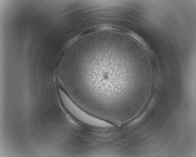 X0000070210857200606091622