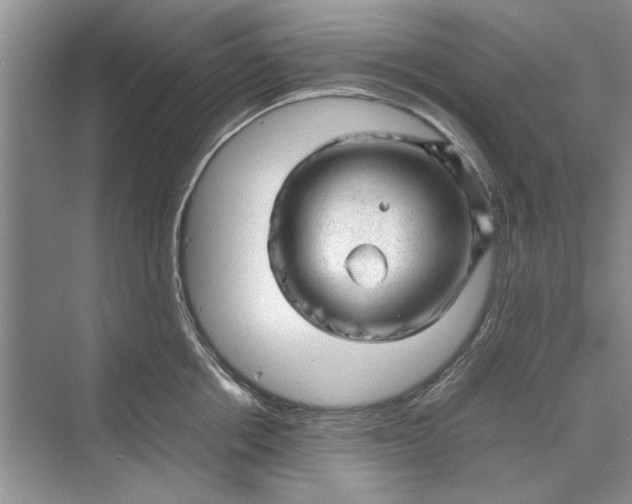 X0000070210858200606091622