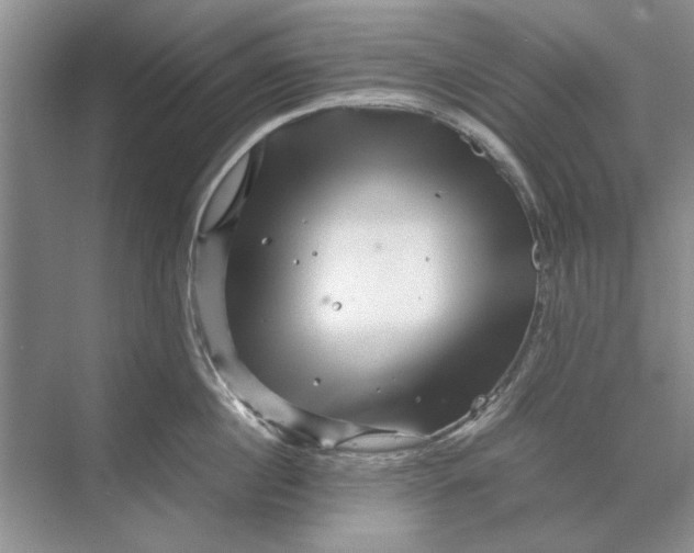 X0000070210860200606091622