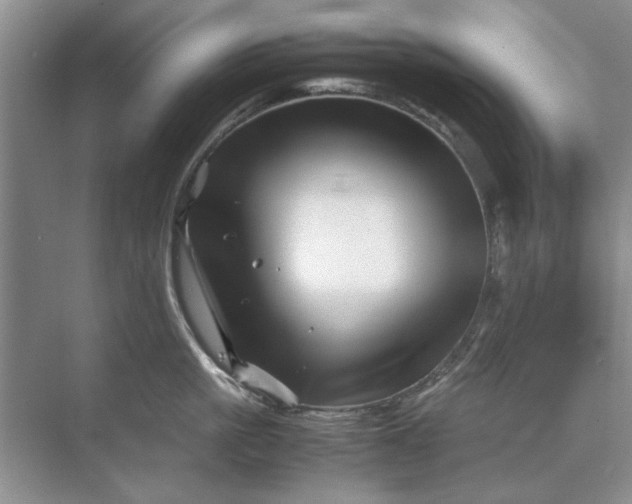 X0000070210861200606091622