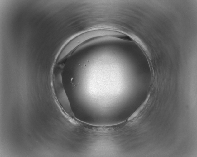 X0000070210862200606091623