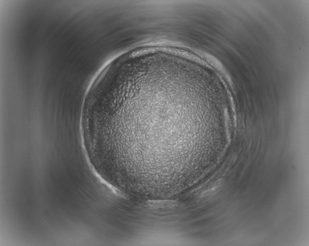 X0000070210863200606091623