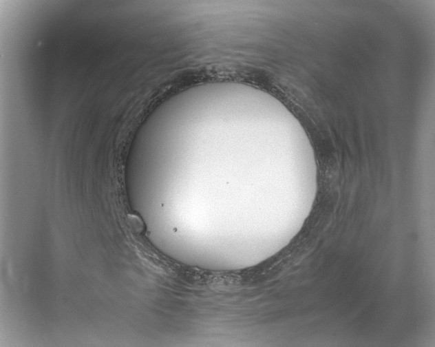 X0000070210865200606091622