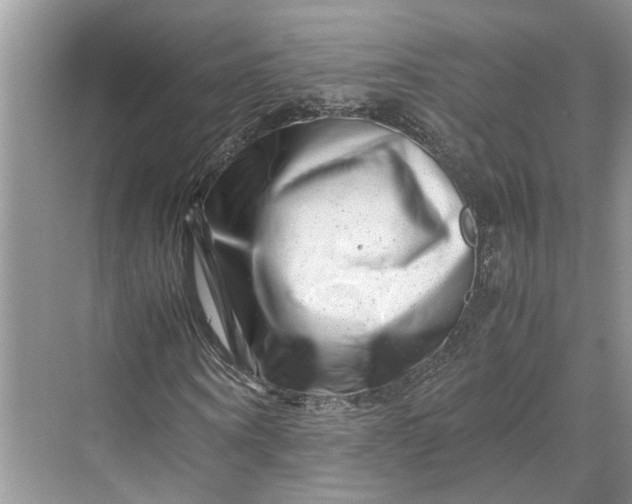 X0000070210866200606091622