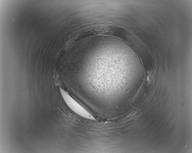 X0000070210867200606091622