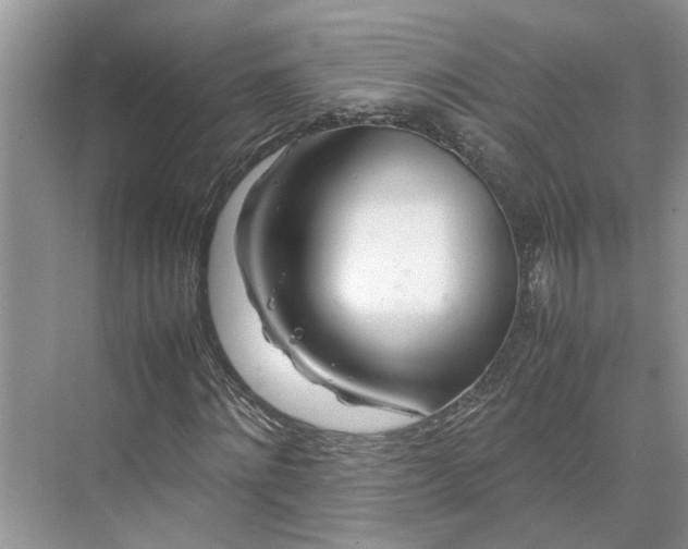 X0000070210868200606091622