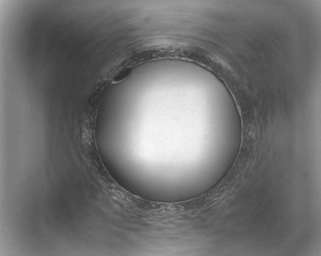 X0000070210869200606091622