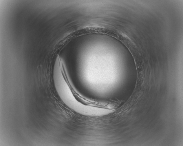 X0000070210870200606091622