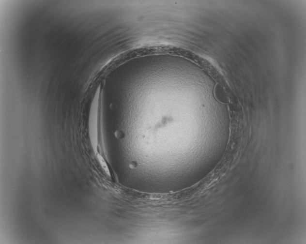 X0000070210871200606091622