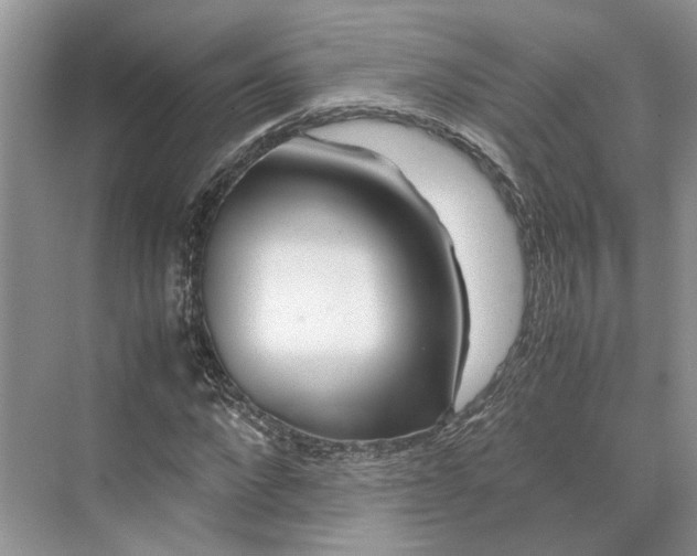 X0000070210872200606091622