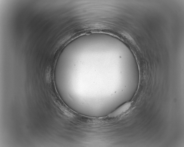 X0000070210873200606091622