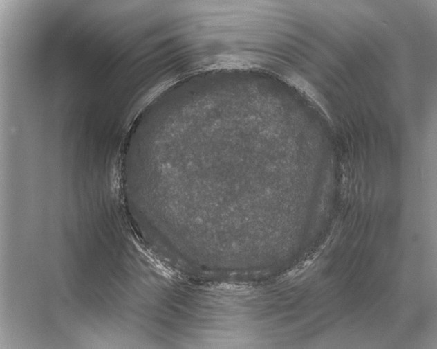 X0000070210874200606091622