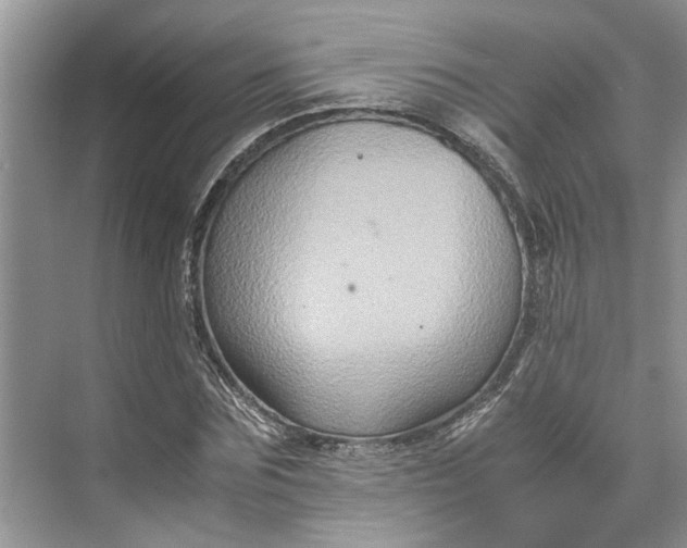 X0000070210875200606091622