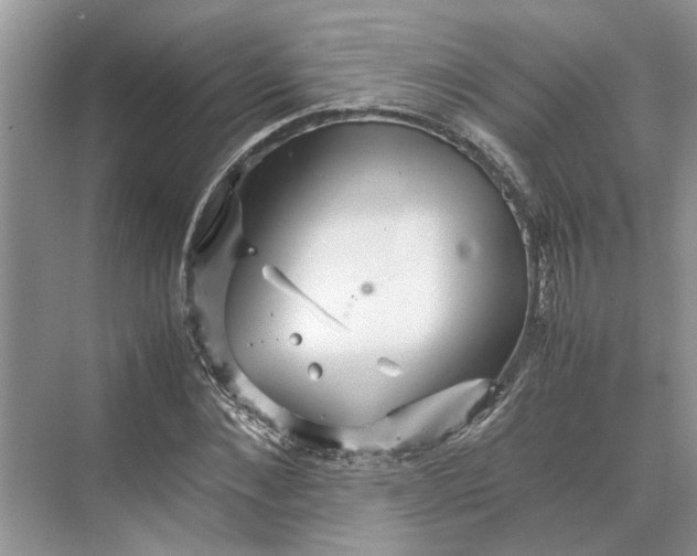 X0000070210876200606091622