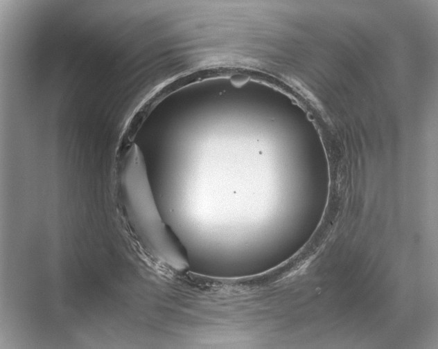 X0000070210877200606091622