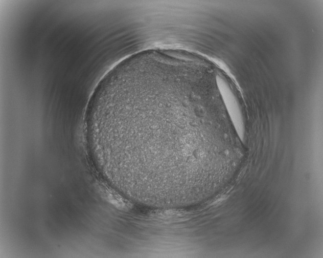 X0000070210879200606091621