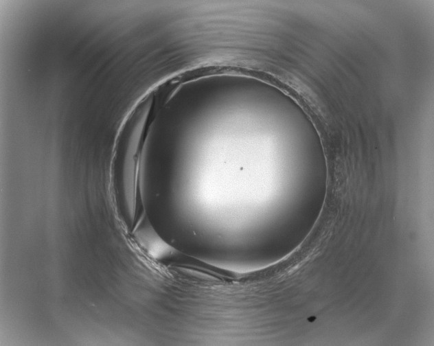 X0000070210880200606091621