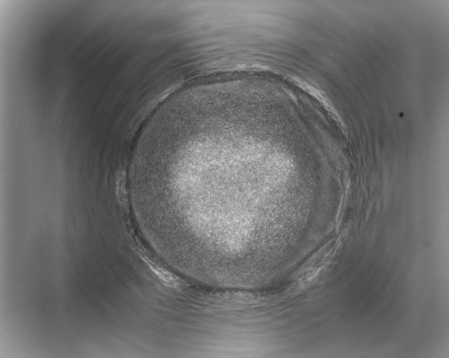 X0000070210881200606091621