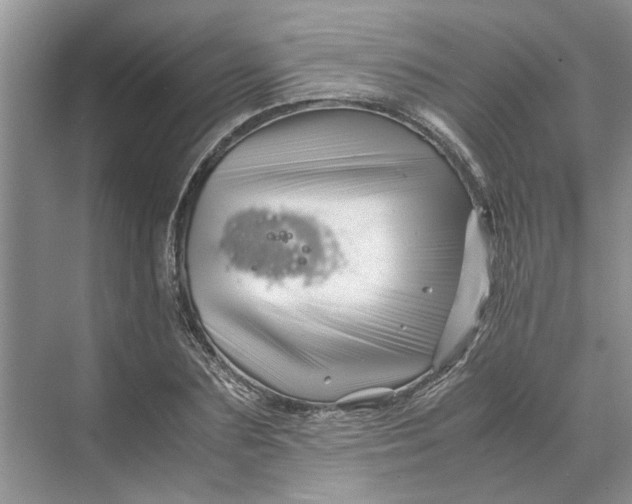 X0000070210883200606091621