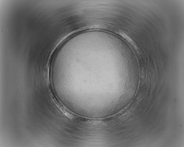 X0000070210886200606091621