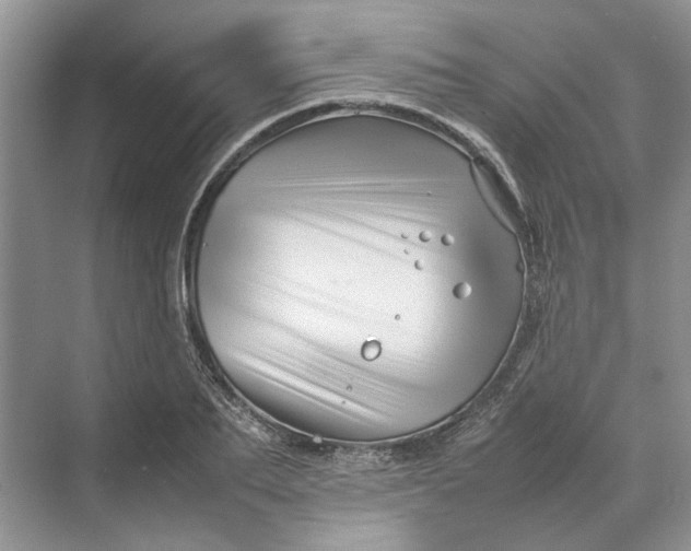 X0000070210887200606091621