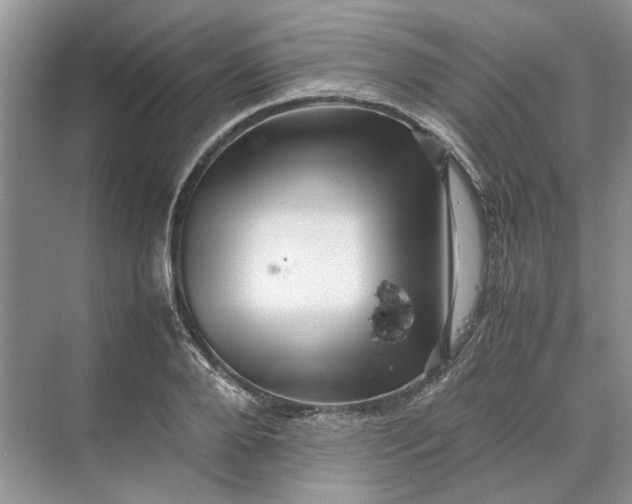 X0000070210888200606091621