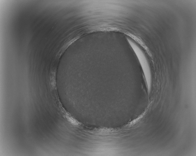 X0000070210889200606091621