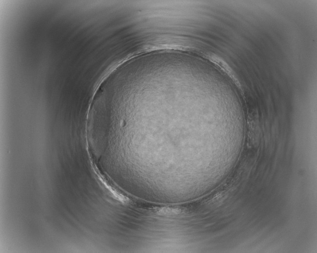 X0000070210890200606091621