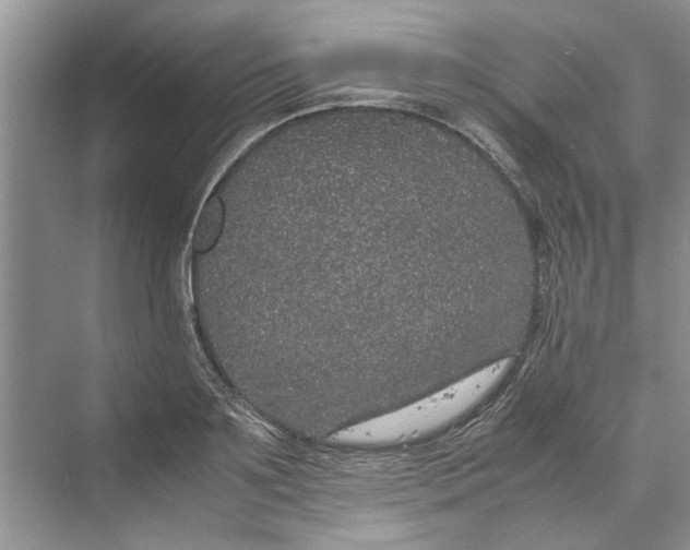 X0000070210891200606091621