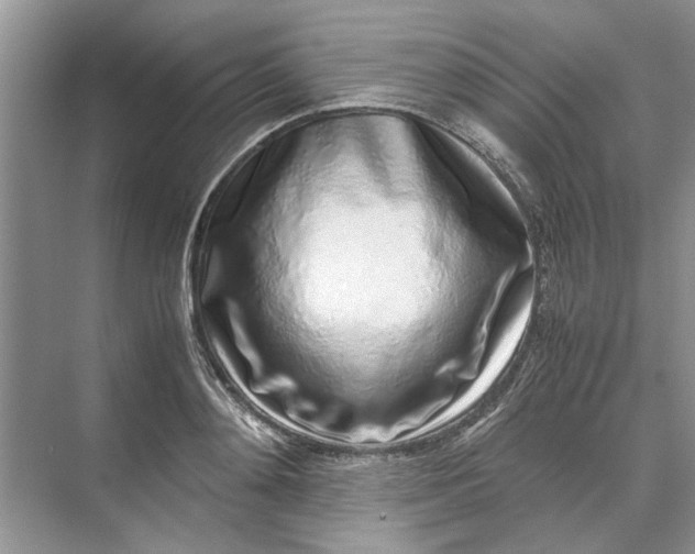 X0000070210892200606091621