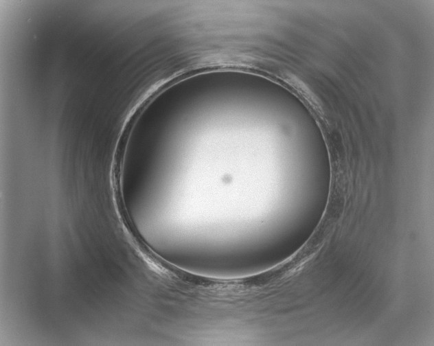 X0000070210893200606091621